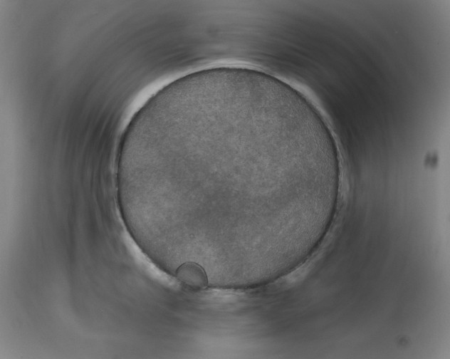 X0000114610910200911171032