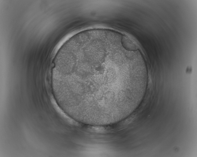 X0000114610911200911171032