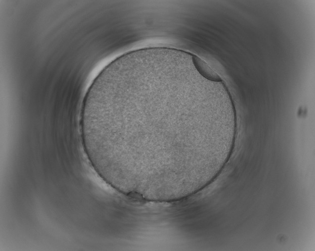 X0000114610912200911171032