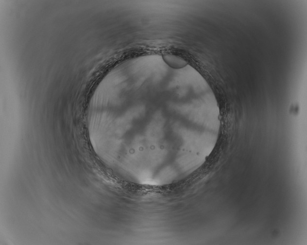 X0000114610913200911171031