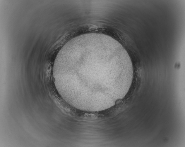 X0000114610914200911171031