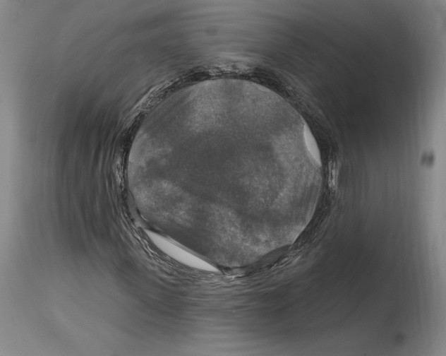 X0000114610915200911171031