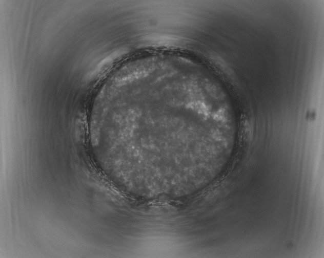 X0000114610918200911171031