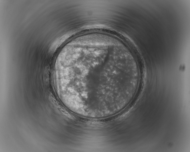 X0000114610921200911171031