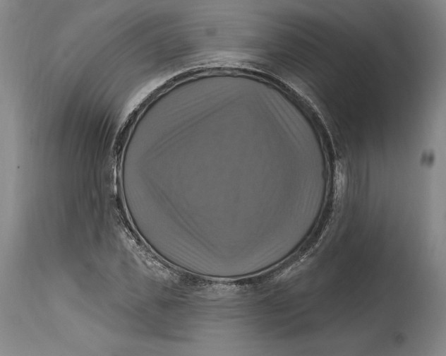 X0000114610925200911171031