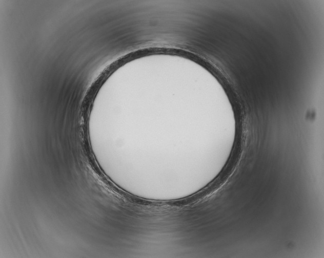 X0000114610926200911171031