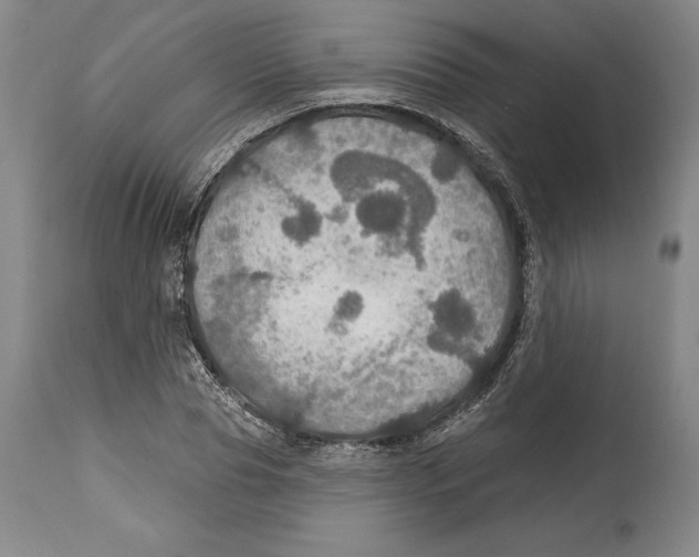 X0000114610929200911171031