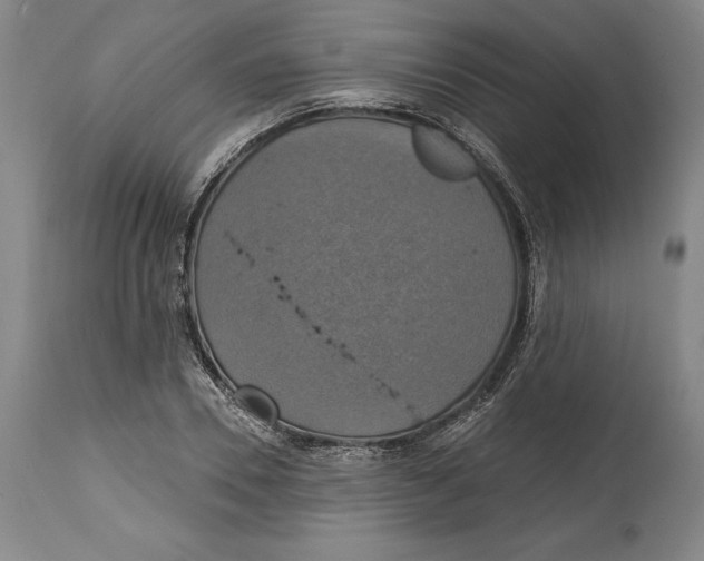 X0000114610930200911171031