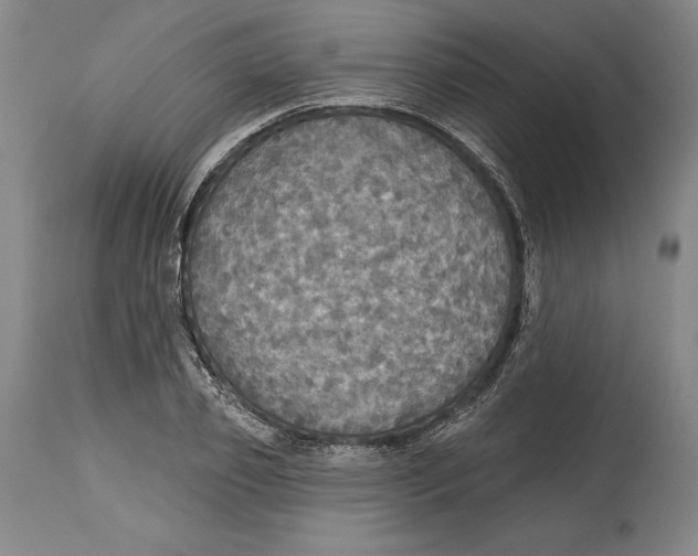 X0000114610933200911171031