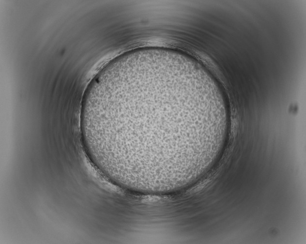 X0000114610938200911171031