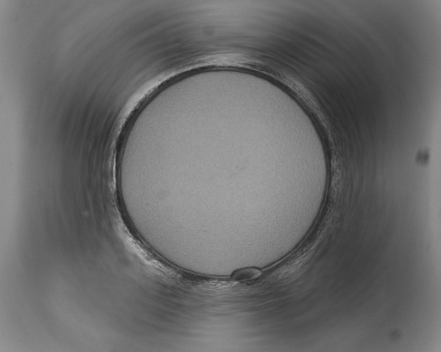 X0000114610939200911171032