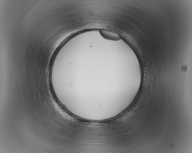 X0000114610942200911171032