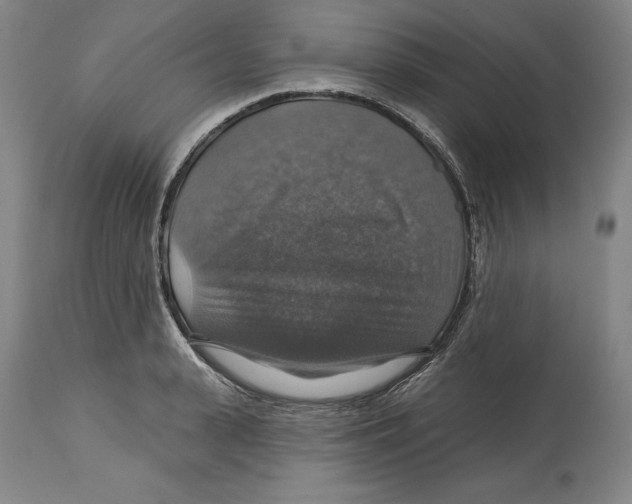 X0000114610943200911171032