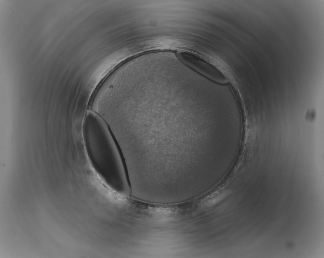 X0000114610946200911171032