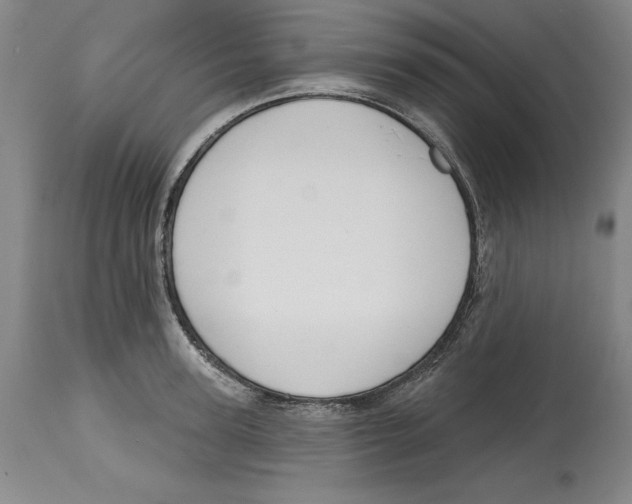 X0000114610947200911171032