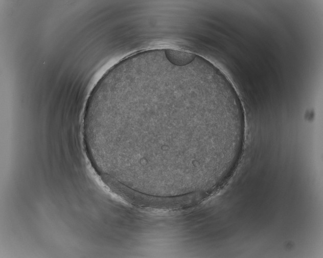 X0000114610949200911171032