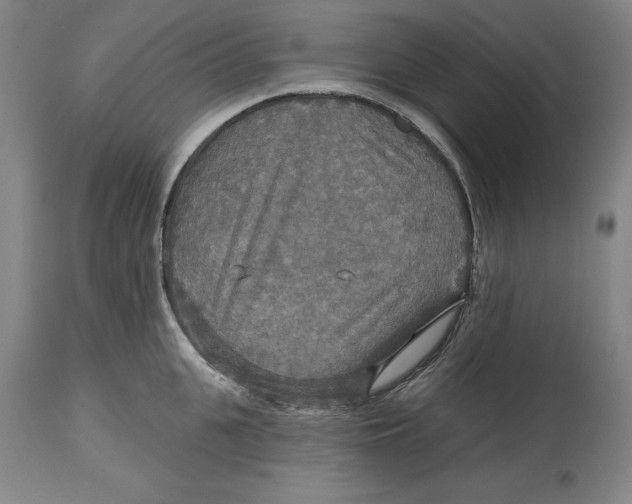 X0000114610951200911171032