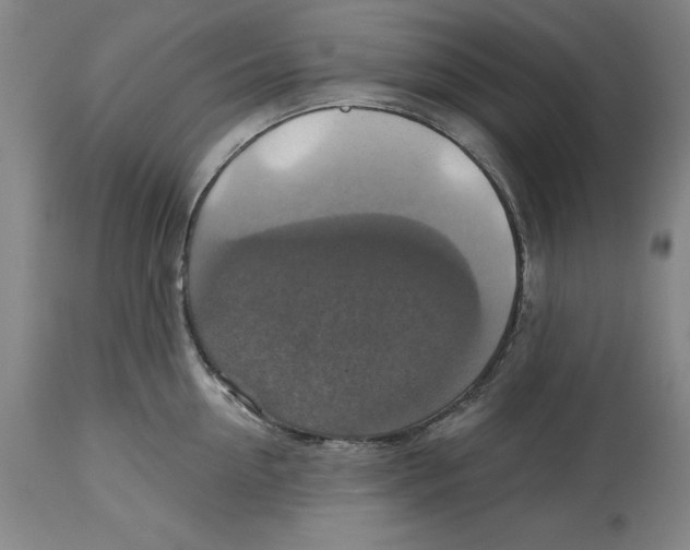 X0000114610954200911171032