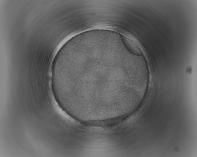 X0000114610955200911171032