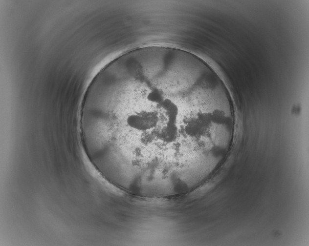 X0000114610957200911171032