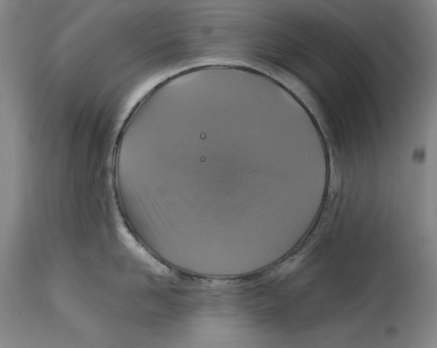 X0000114610958200911171032