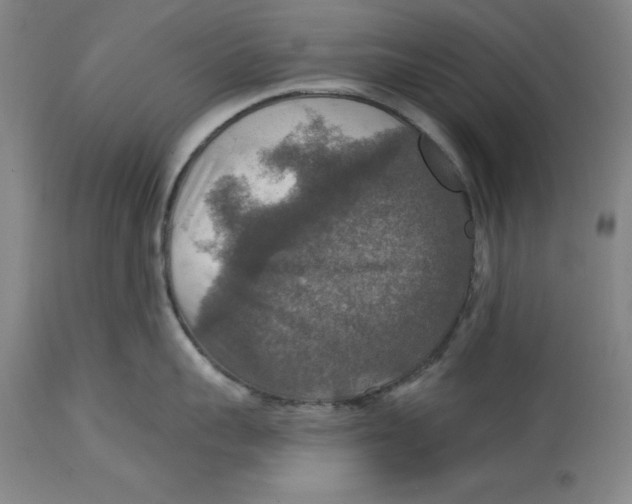 X0000114610959200911171032