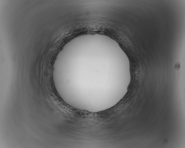 X0000114610961200911171031