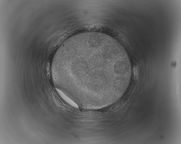 X0000114610963200911171031