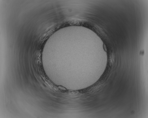 X0000114610964200911171031