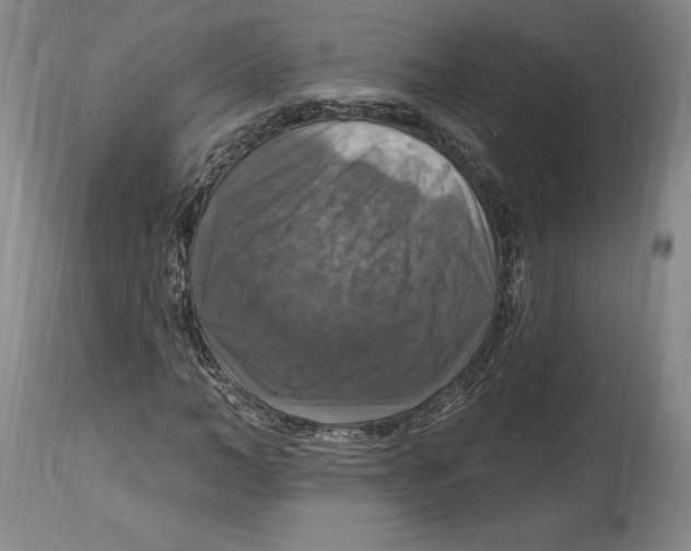 X0000114610966200911171031