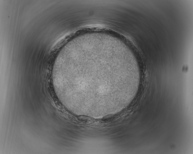 X0000114610967200911171031