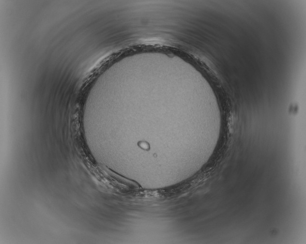 X0000114610968200911171031