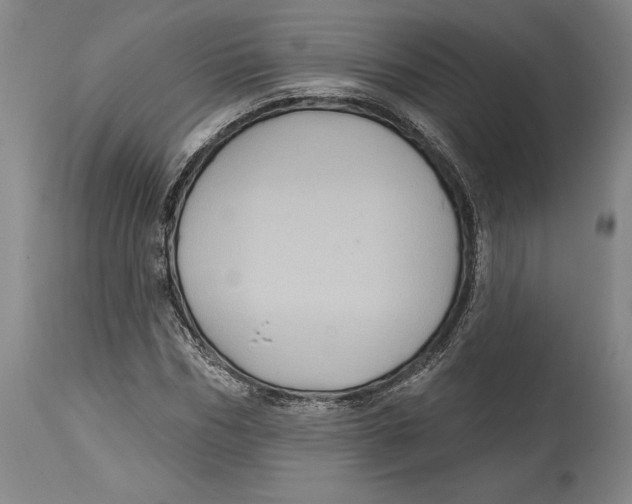 X0000114610970200911171031