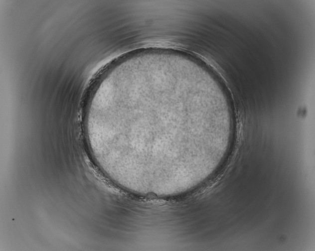 X0000114610971200911171031