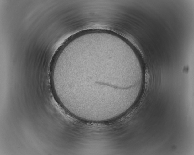 X0000114610972200911171031