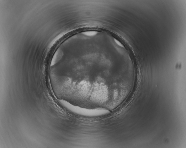 X0000114610975200911171031