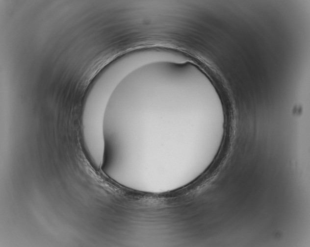 X0000114610977200911171031