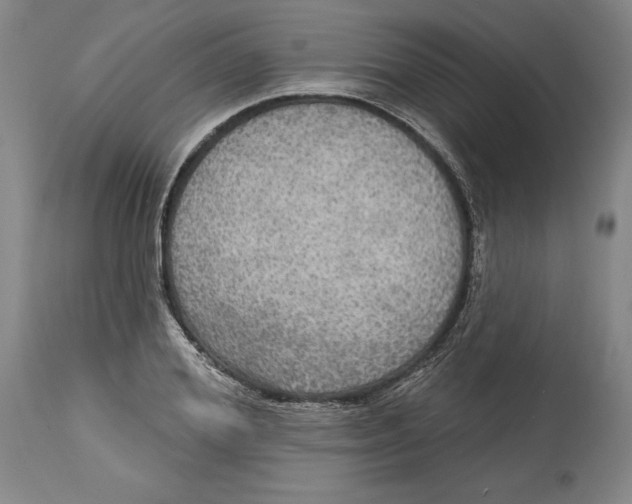 X0000114610980200911171031