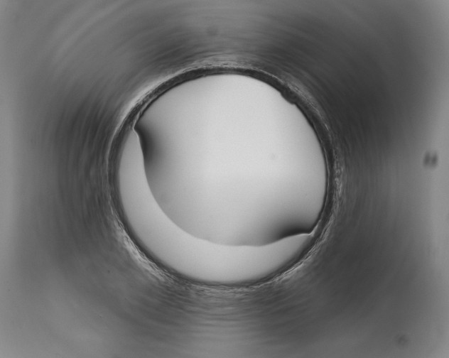 X0000114610981200911171031