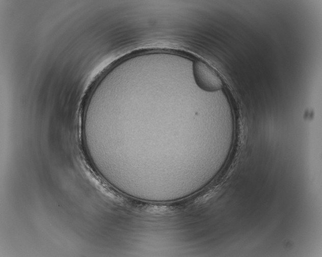 X0000114610982200911171031