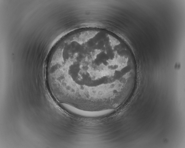 X0000114610983200911171031