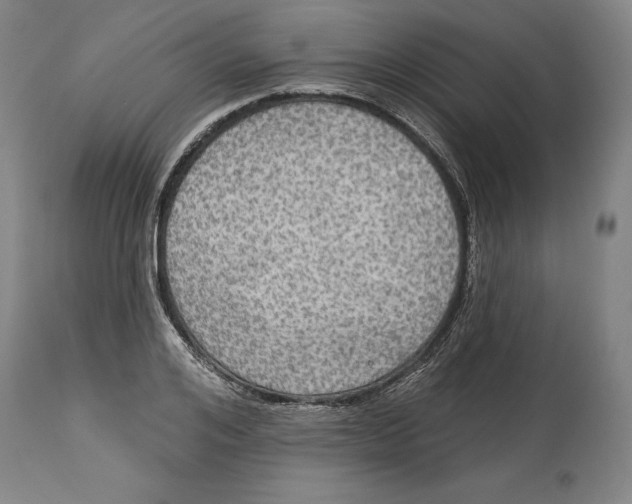 X0000114610984200911171031