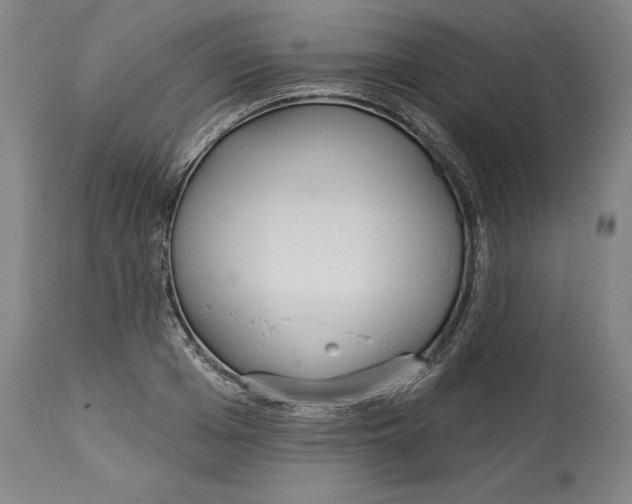 X0000114610985200911171031