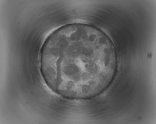 X0000114610987200911171031