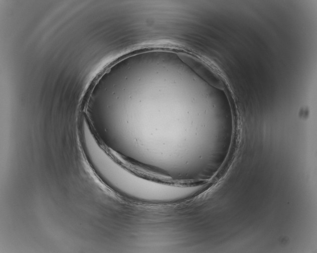 X0000114610989200911171031