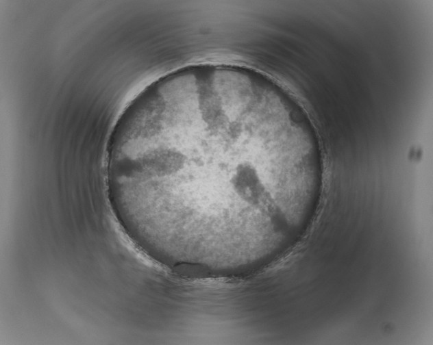 X0000114610990200911171031