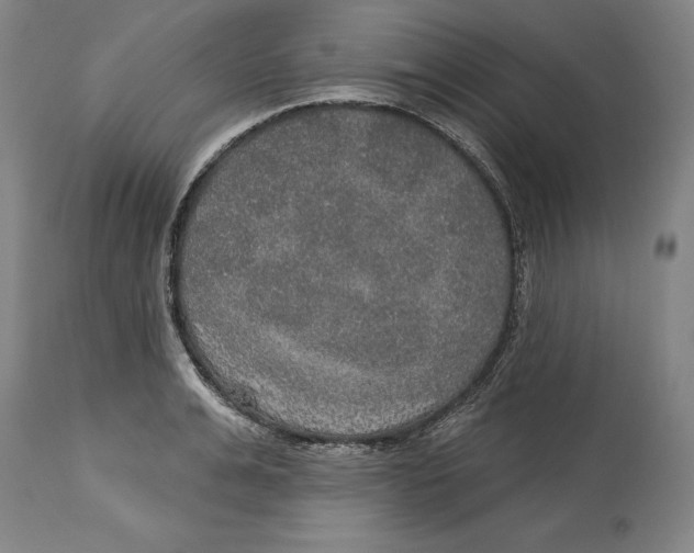 X0000114610991200911171031