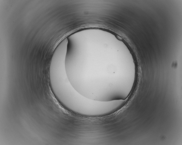 X0000114610993200911171031