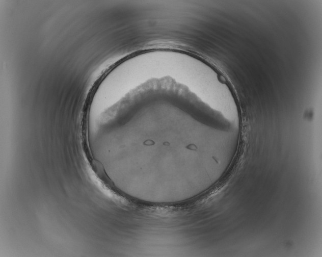 X0000114610995200911171031