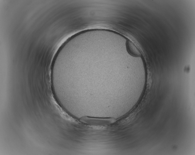 X0000114610996200911171031